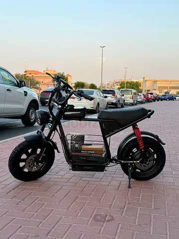 WiNdhorse D1 | 32 KM/H | 50 Km Range | 750W Motor | Brand New