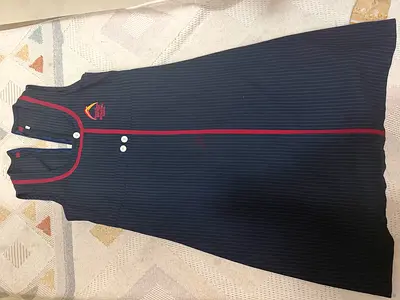 Navy pinstripe school pinafore dress with red trim, girls' uniform . BIS school uniform barely used