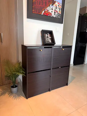 2x Dark wood shoe cabinet