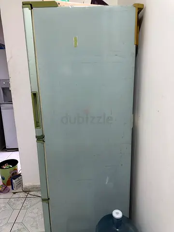 Used double -door refrigerator/freezer only compressor problem
