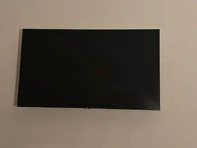 Samsung 55-inch LED TV - Faulty Screen