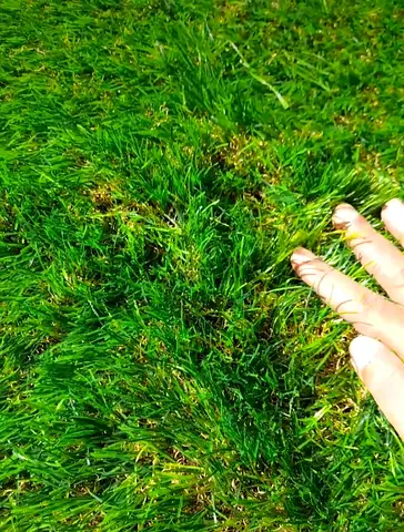 Artificial grass