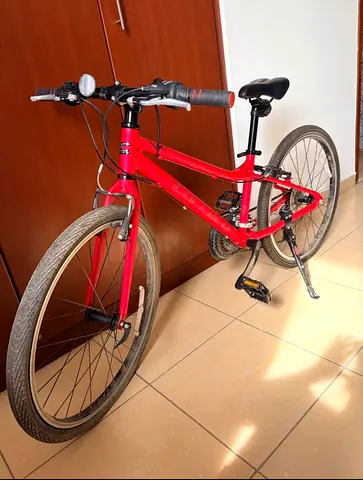 Kids Carrera Saruna Bike