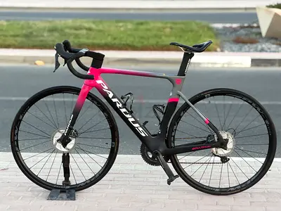 Pardus spark evo
