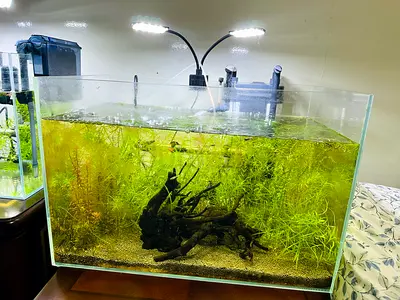 Aquarium