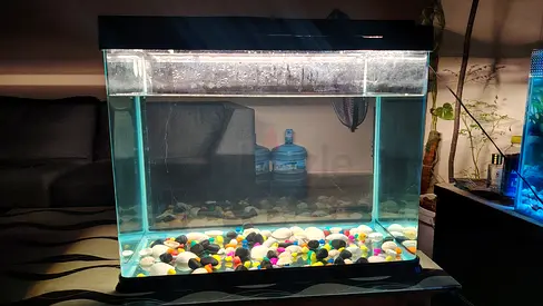 Aquarium for sale