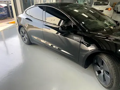 2021 Tesla MODEL 3 照片 2