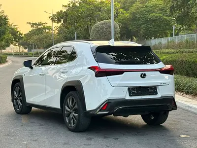 2022 Lexus UX-SERIES 照片 6