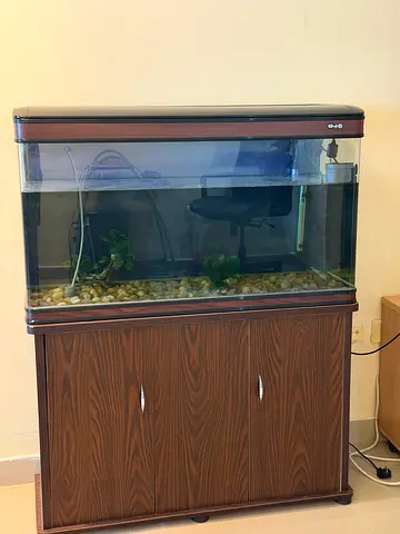 Aquarium Fish Tank with Cabinet - Complete Setup