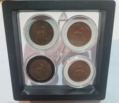 Set of 4 Vintage Coins in Protective Capsule Display (animal motif)