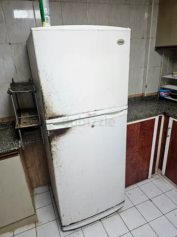 Used single-door refrigerator - needs cleaning and minor repair