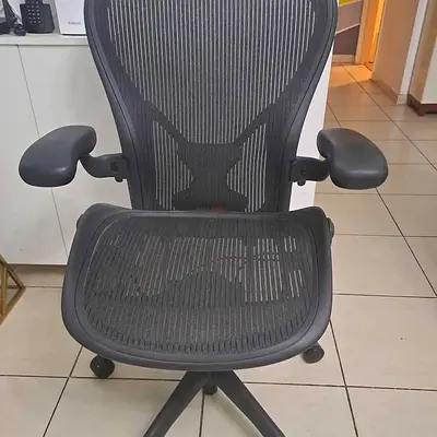 Herman Miller Ergonomic Mesh Office Chair with Adjustable Armrests (Good Condition)