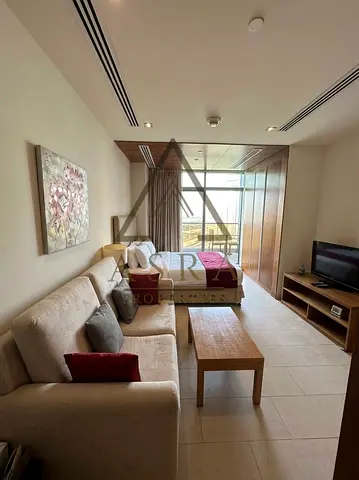 Fully Furnished Studio| Ready to move| Multiple Cheques