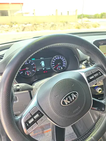 2020 KIA TELLURIDE — фото 10