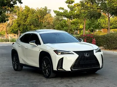 2022 Lexus UX-SERIES 照片 4