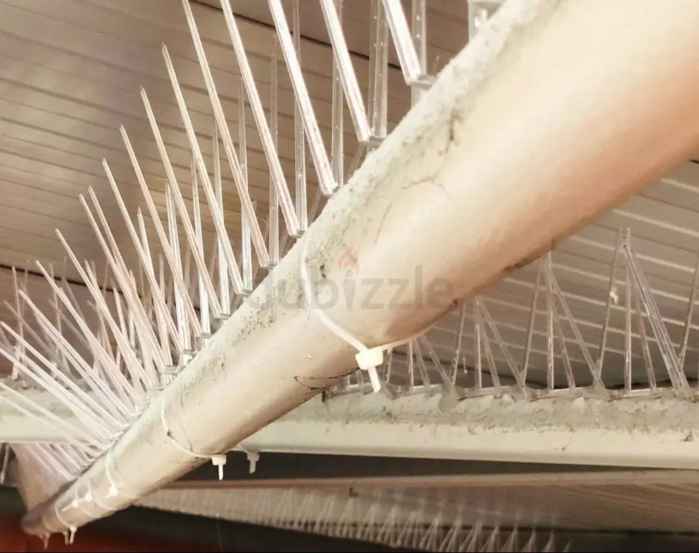 DPV_View_Image_1