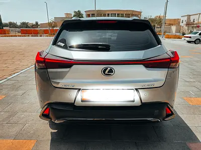 2022 Lexus UX-SERIES 照片 4