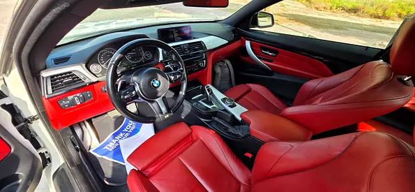 2015 BMW 4-SERIES 照片 13