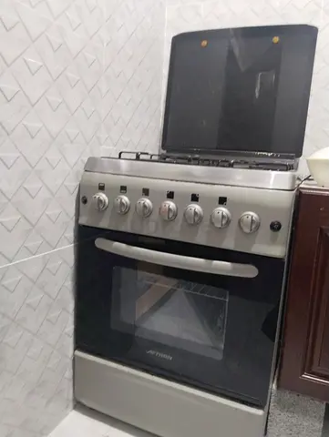 Gas electric stove
