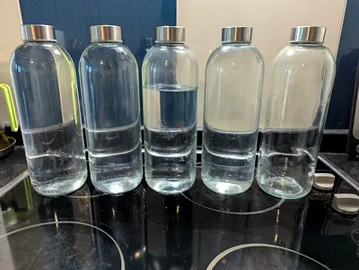 Set of 5 Clear Glass Water Bottles with Stainless Steel Lids
