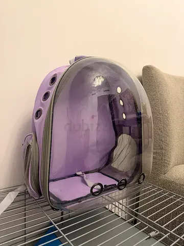 Transparent Bubble Pet Carrier Backpack (Purple) - Good Condition