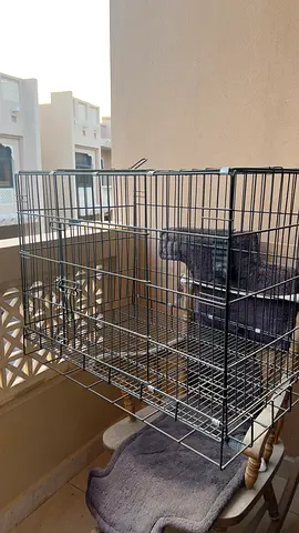 Large metal pet cage / crate - good condition