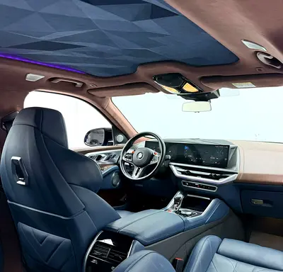 2023 BMW XM photo 12
