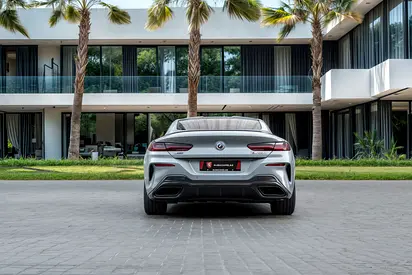 2022 BMW 8-SERIES 照片 5