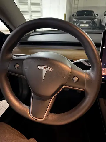 2021 Tesla MODEL 3 照片 10