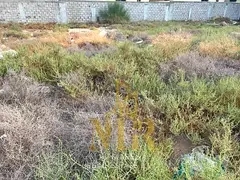 land for sale in Al Yasmin area - Ajman | Area 280 m² | Prime location close to all services | Free
