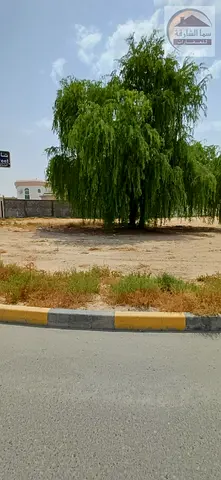 للبيع أرض سكنية في الياش - الشارقة
