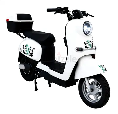 Large Electric scooter