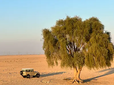 صورة 5 لـ 1978 Toyota LAND CRUISER