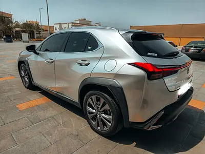 2022 Lexus UX-SERIES 照片 2