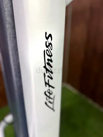 Life Fitness pec fly/rear deltoid