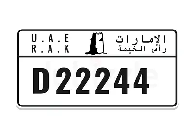 22244 D