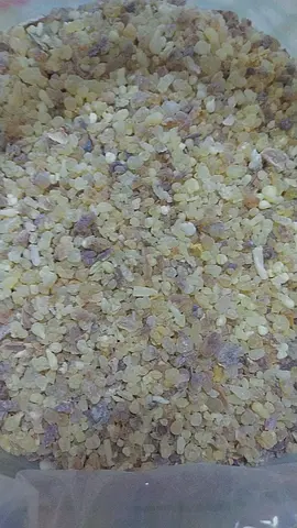 Premium Luban - Best Quality Frankincense for Sale in UAE'.