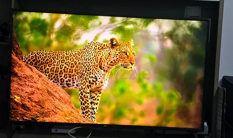 Lg 49inch TV