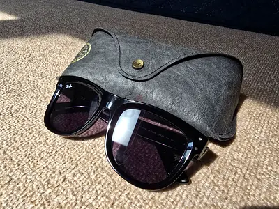 Ray-Ban Wayfrer Reverse Sunglasses with Case for Sale
