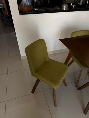 Set of 4 Mid-century Modern Green Dining Chairs with Wooden Legs