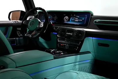 2019 Mercedes-BENZ G-CLASS — фото 15