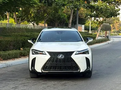 2022 Lexus UX-SERIES 照片 5