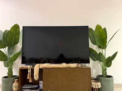 75-inch flat panel LED TV new