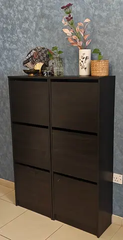 Shoe Cabinet