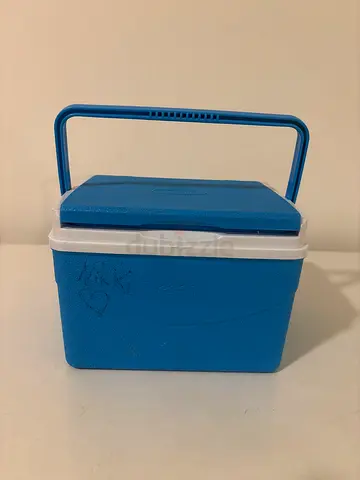Small portable blue cooler box - perfect for outings