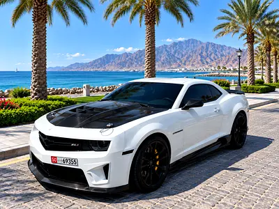 2013 Chevrolet CAMARO 照片 3