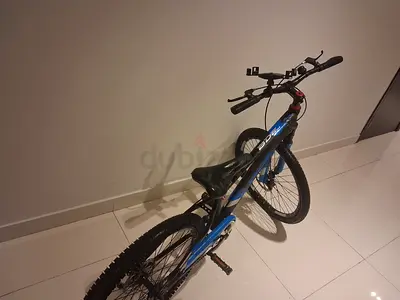 Blue Mountain Bike - Used, Good Condition
