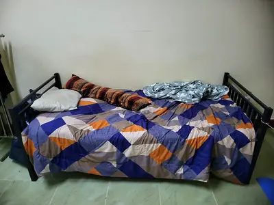 Metal single daybed with trundle-style frame (used)