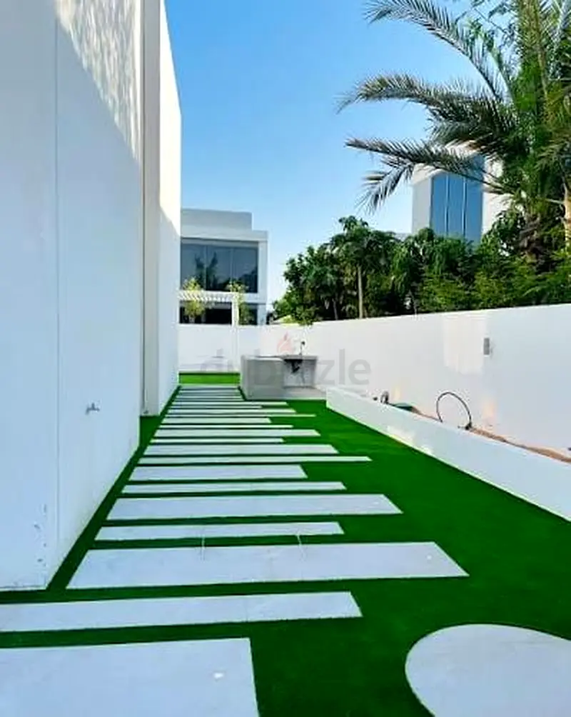 DPV_View_Image_0