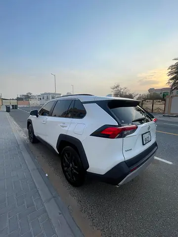 2024 Toyota RAV 4 照片 18